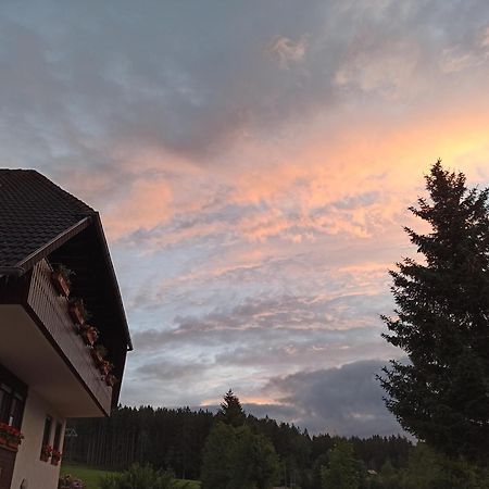Ferienwohnung Brentenholz Sankt Georgen im Schwarzwald Εξωτερικό φωτογραφία