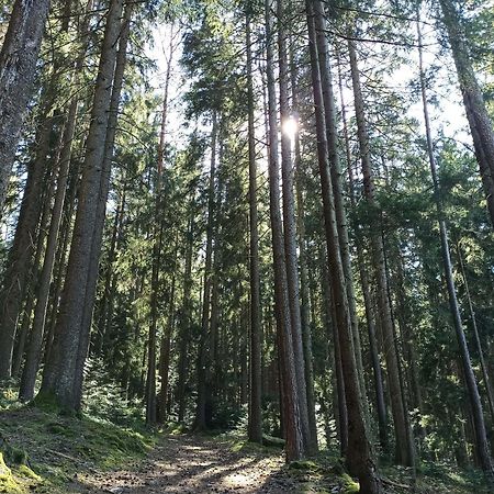 Ferienwohnung Brentenholz Sankt Georgen im Schwarzwald Εξωτερικό φωτογραφία