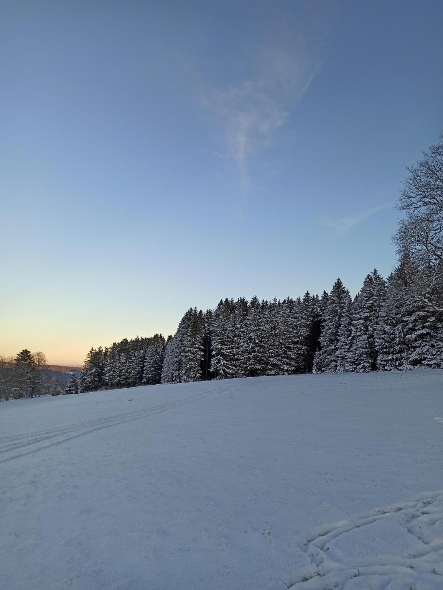 Ferienwohnung Brentenholz Sankt Georgen im Schwarzwald Εξωτερικό φωτογραφία