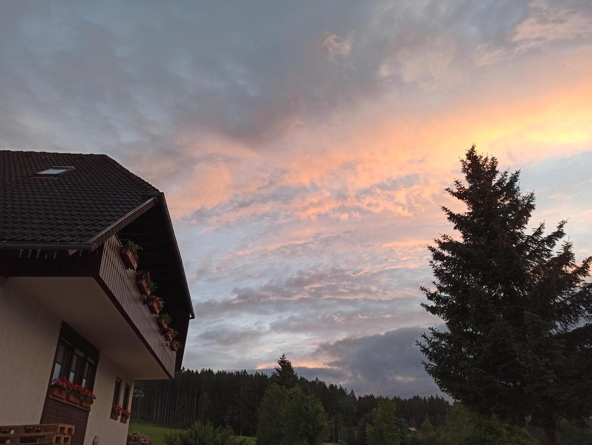 Ferienwohnung Brentenholz Sankt Georgen im Schwarzwald Εξωτερικό φωτογραφία