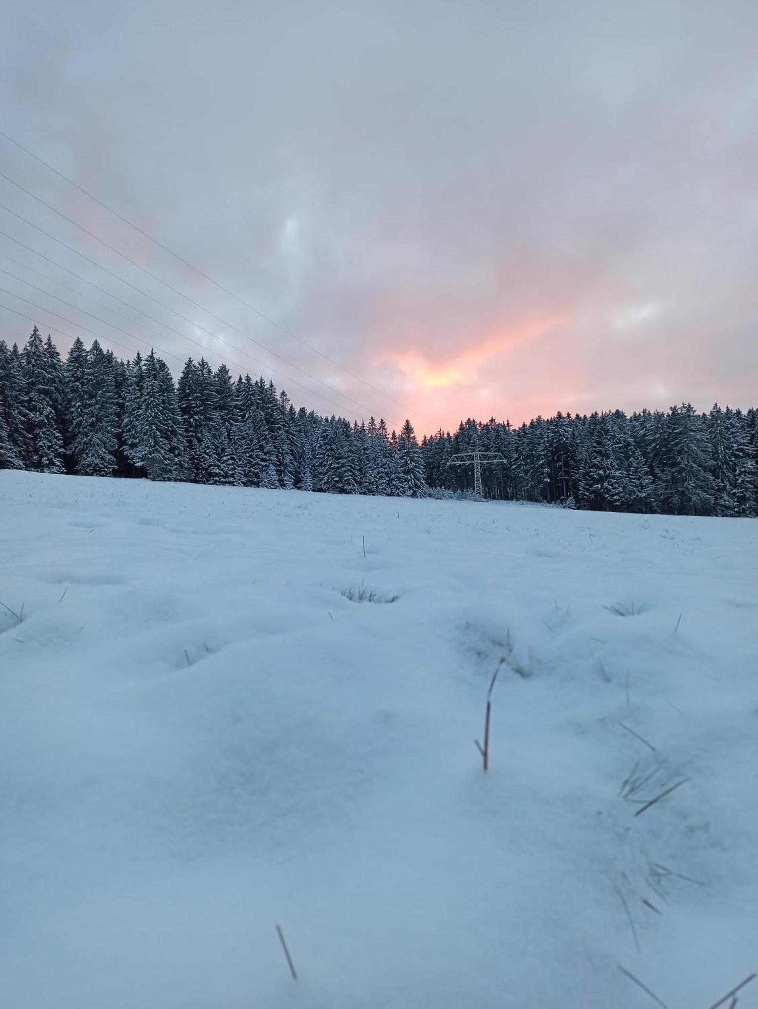 Ferienwohnung Brentenholz Sankt Georgen im Schwarzwald Εξωτερικό φωτογραφία