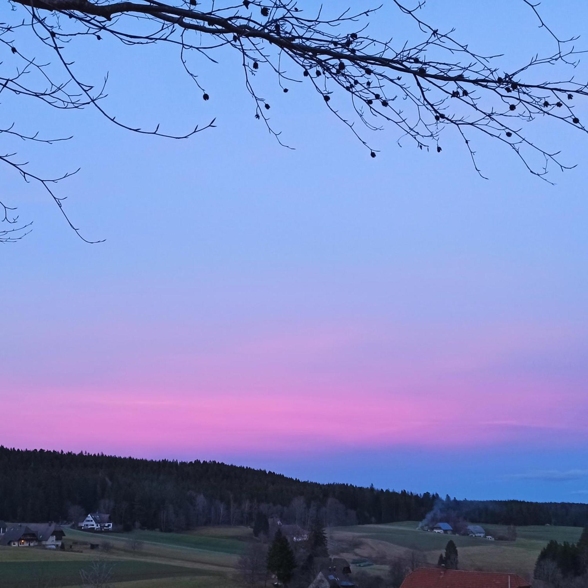Ferienwohnung Brentenholz Sankt Georgen im Schwarzwald Εξωτερικό φωτογραφία